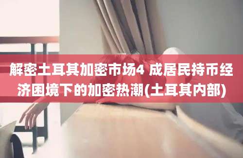 解密土耳其加密市场4 成居民持币经济困境下的加密热潮(土耳其内部)