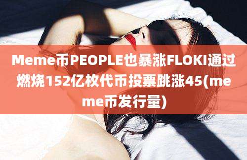 Meme币PEOPLE也暴涨FLOKI通过燃烧152亿枚代币投票跳涨45(meme币发行量)