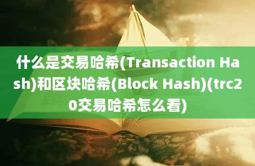 什么是交易哈希(Transaction Hash)和区块哈希(Block Hash)(trc20交易哈希怎么看)