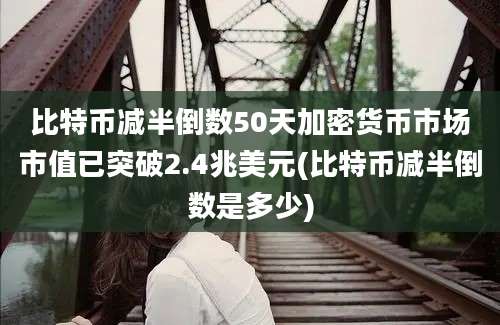 比特币减半倒数50天加密货币市场市值已突破2.4兆美元(比特币减半倒数是多少)