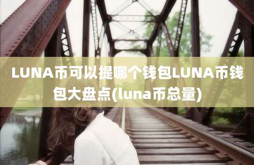 LUNA币可以提哪个钱包LUNA币钱包大盘点(luna币总量)