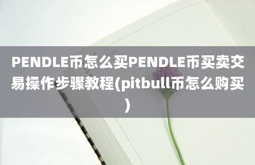 PENDLE币怎么买PENDLE币买卖交易操作步骤教程(pitbull币怎么购买)