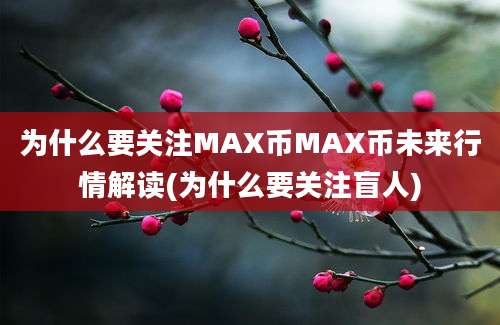 为什么要关注MAX币MAX币未来行情解读(为什么要关注盲人)