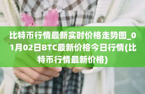 比特币行情最新实时价格走势图_01月02日BTC最新价格今日行情(比特币行情最新价格)