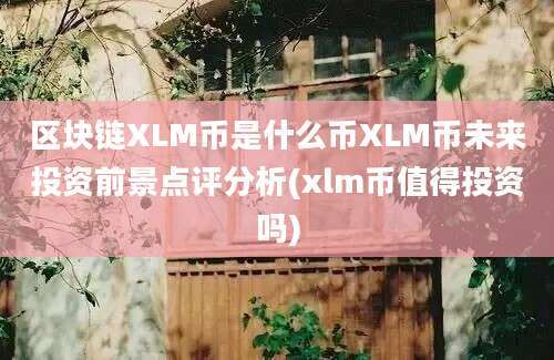 区块链XLM币是什么币XLM币未来投资前景点评分析(xlm币值得投资吗)