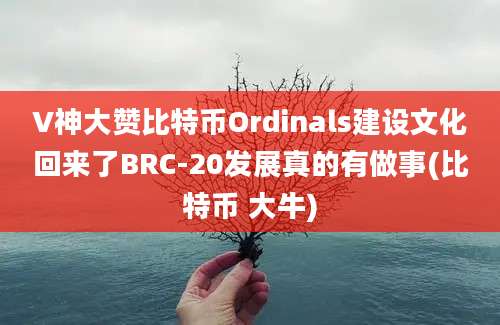 V神大赞比特币Ordinals建设文化回来了BRC-20发展真的有做事(比特币 大牛)