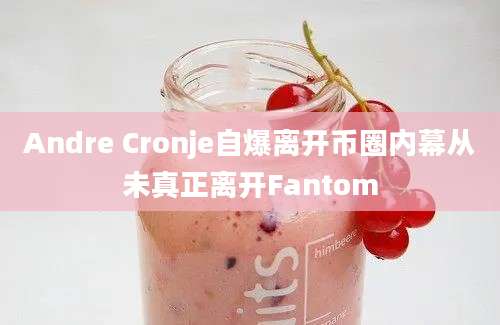 Andre Cronje自爆离开币圈内幕从未真正离开Fantom