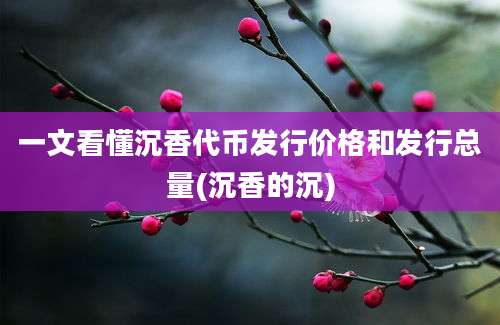 一文看懂沉香代币发行价格和发行总量(沉香的沉)