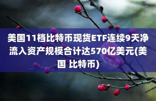 美国11档比特币现货ETF连续9天净流入资产规模合计达570亿美元(美国 比特币)