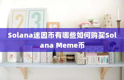 Solana迷因币有哪些如何购买Solana Meme币