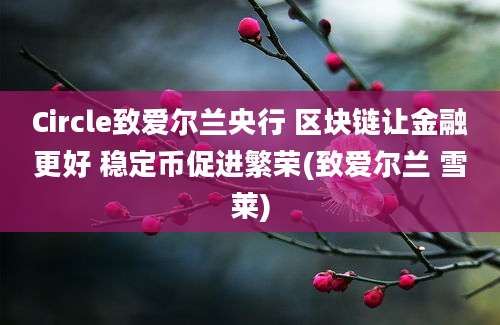 Circle致爱尔兰央行 区块链让金融更好 稳定币促进繁荣(致爱尔兰 雪莱)