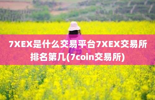 7XEX是什么交易平台7XEX交易所排名第几(7coin交易所)