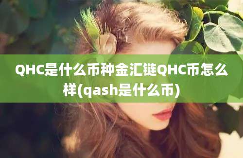 QHC是什么币种金汇链QHC币怎么样(qash是什么币)