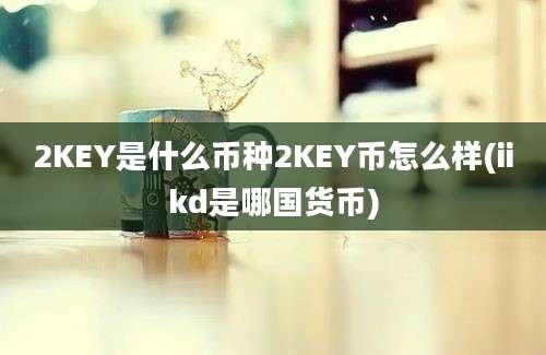 2KEY是什么币种2KEY币怎么样(iikd是哪国货币)