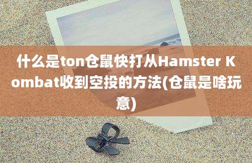 什么是ton仓鼠快打从Hamster Kombat收到空投的方法(仓鼠是啥玩意)