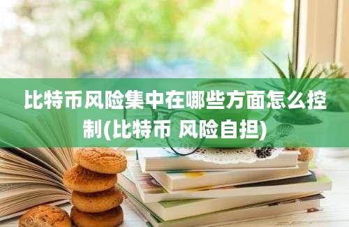 比特币风险集中在哪些方面怎么控制(比特币 风险自担)