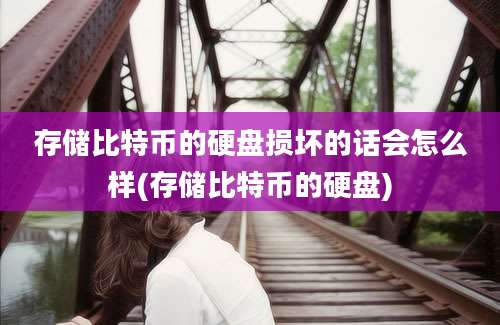 存储比特币的硬盘损坏的话会怎么样(存储比特币的硬盘)