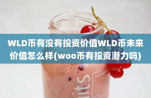 WLD币有没有投资价值WLD币未来价值怎么样(woo币有投资潜力吗)