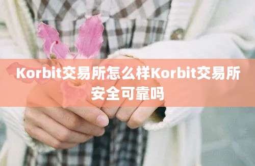 Korbit交易所怎么样Korbit交易所安全可靠吗