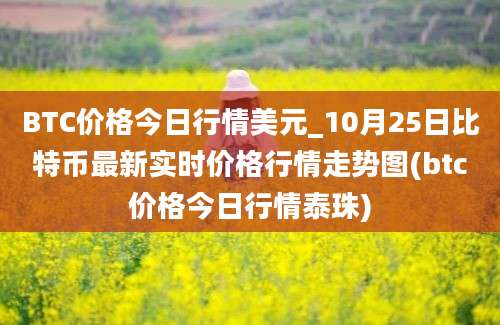 BTC价格今日行情美元_10月25日比特币最新实时价格行情走势图(btc价格今日行情泰珠)