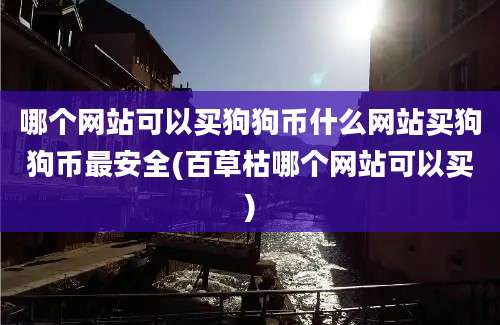 哪个网站可以买狗狗币什么网站买狗狗币最安全(百草枯哪个网站可以买)