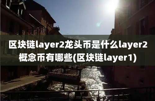 区块链layer2龙头币是什么layer2概念币有哪些(区块链layer1)