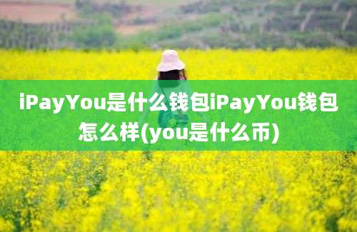 iPayYou是什么钱包iPayYou钱包怎么样(you是什么币)