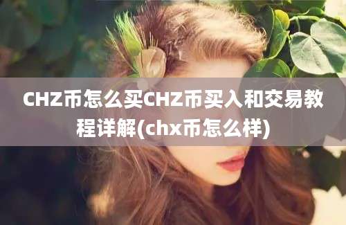 CHZ币怎么买CHZ币买入和交易教程详解(chx币怎么样)