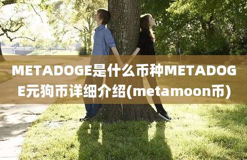 METADOGE是什么币种METADOGE元狗币详细介绍(metamoon币)