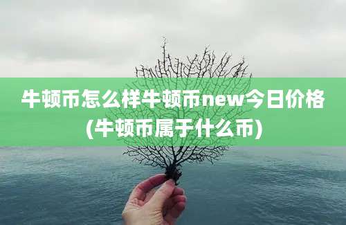 牛顿币怎么样牛顿币new今日价格(牛顿币属于什么币)