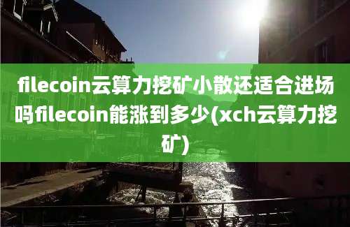 filecoin云算力挖矿小散还适合进场吗filecoin能涨到多少(xch云算力挖矿)