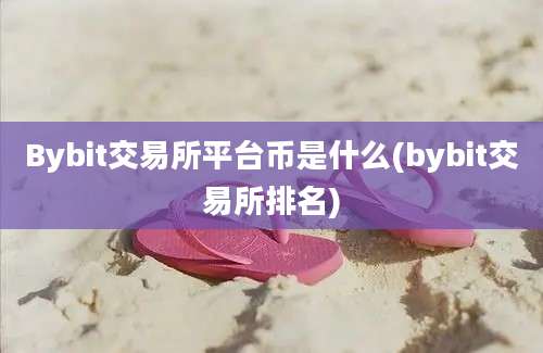 Bybit交易所平台币是什么(bybit交易所排名)