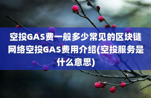 空投GAS费一般多少常见的区块链网络空投GAS费用介绍(空投服务是什么意思)