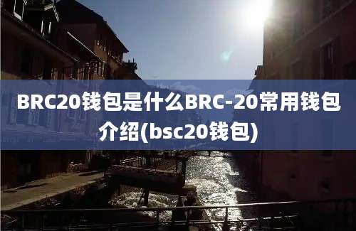 BRC20钱包是什么BRC-20常用钱包介绍(bsc20钱包)