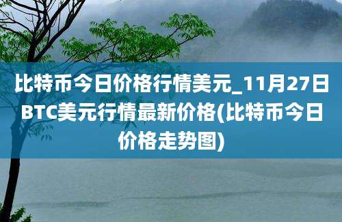 比特币今日价格行情美元_11月27日BTC美元行情最新价格(比特币今日价格走势图)