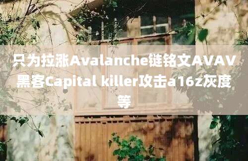 只为拉涨Avalanche链铭文AVAV黑客Capital killer攻击a16z灰度等