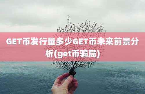 GET币发行量多少GET币未来前景分析(get币骗局)