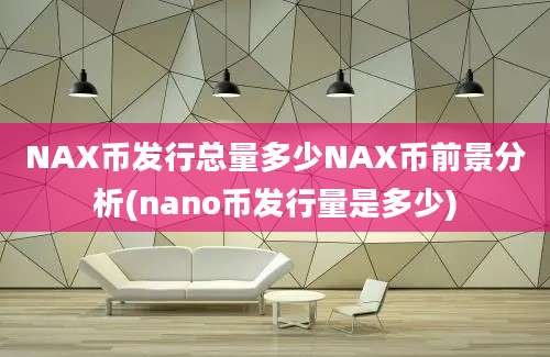 NAX币发行总量多少NAX币前景分析(nano币发行量是多少)