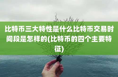 比特币三大特性是什么比特币交易时间段是怎样的(比特币的四个主要特征)