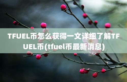 TFUEL币怎么获得一文详细了解TFUEL币(tfuel币最新消息)