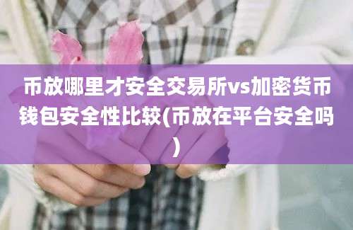 币放哪里才安全交易所vs加密货币钱包安全性比较(币放在平台安全吗)