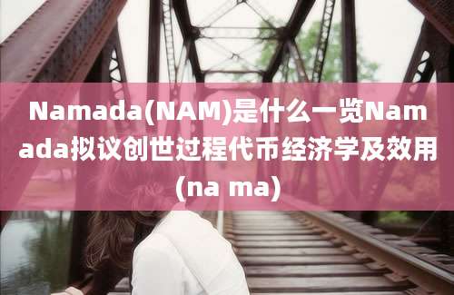 Namada(NAM)是什么一览Namada拟议创世过程代币经济学及效用(na ma)