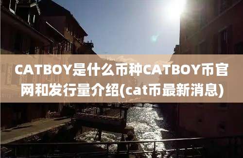 CATBOY是什么币种CATBOY币官网和发行量介绍(cat币最新消息)