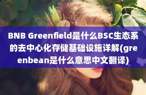 BNB Greenfield是什么BSC生态系的去中心化存储基础设施详解(greenbean是什么意思中文翻译)