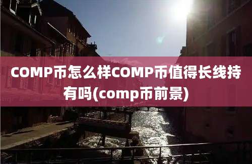 COMP币怎么样COMP币值得长线持有吗(comp币前景)