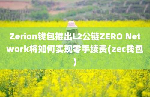 Zerion钱包推出L2公链ZERO Network将如何实现零手续费(zec钱包)