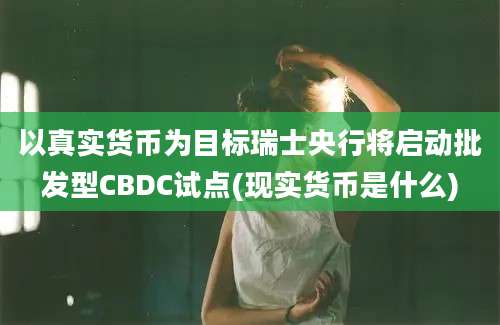 以真实货币为目标瑞士央行将启动批发型CBDC试点(现实货币是什么)