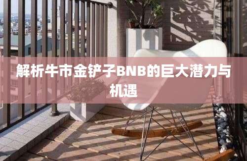 解析牛市金铲子BNB的巨大潜力与机遇