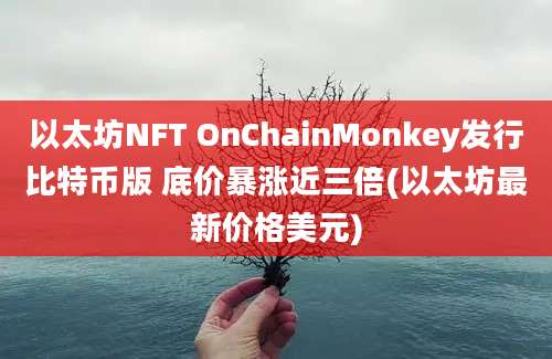 以太坊NFT OnChainMonkey发行比特币版 底价暴涨近三倍(以太坊最新价格美元)