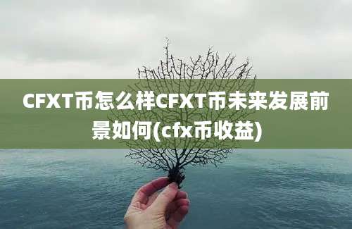 CFXT币怎么样CFXT币未来发展前景如何(cfx币收益)